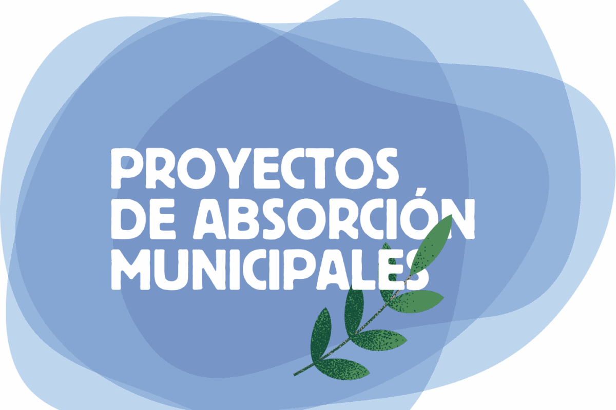 2023-03-absorcion-grafica 2023-03-absorcion-grafica