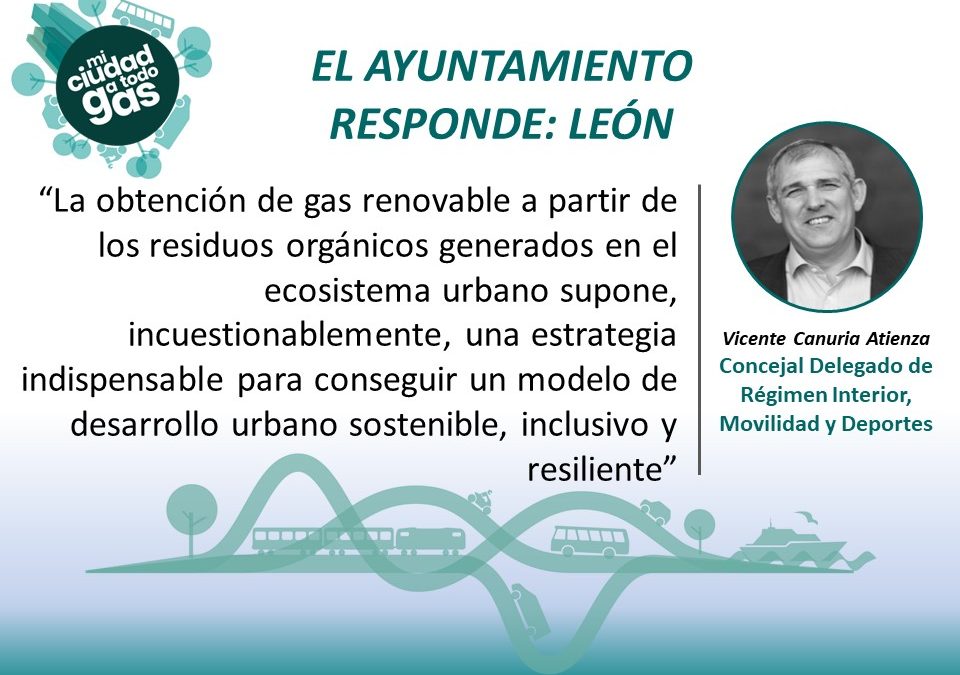 El-Ayuntamiento-Responde-LEON-960×675-1