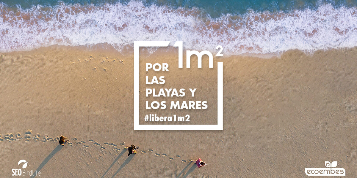 LIBERA20PLAYAS