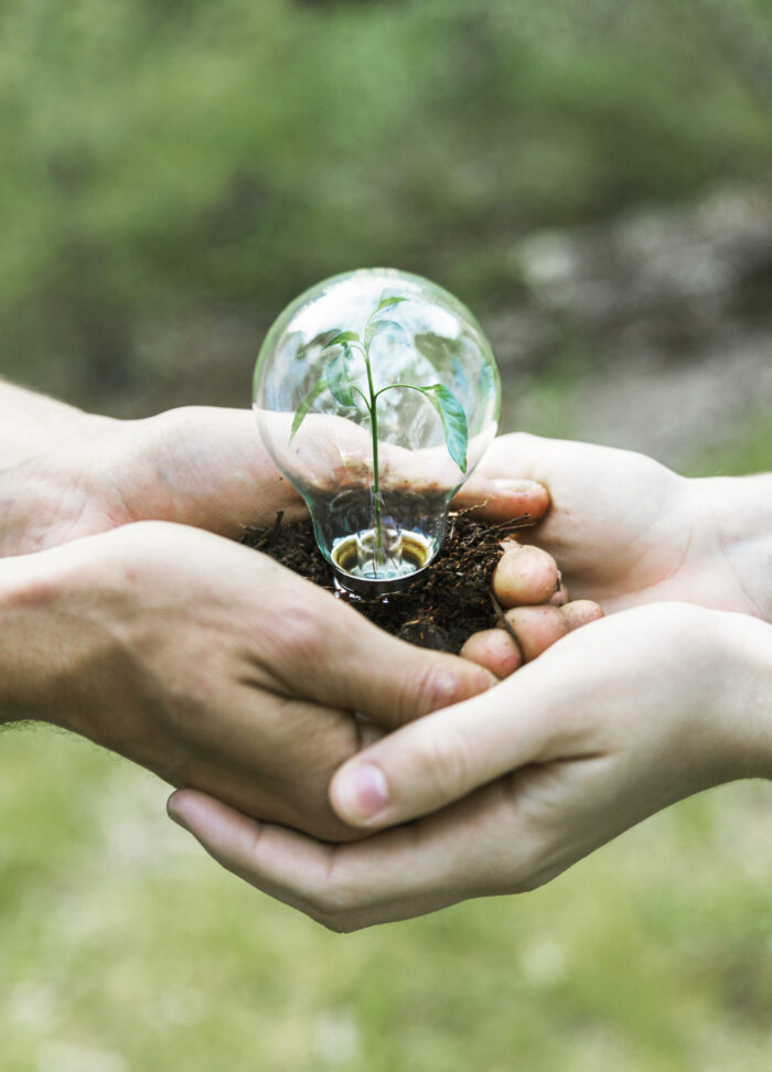concept-plant-glass-bulb